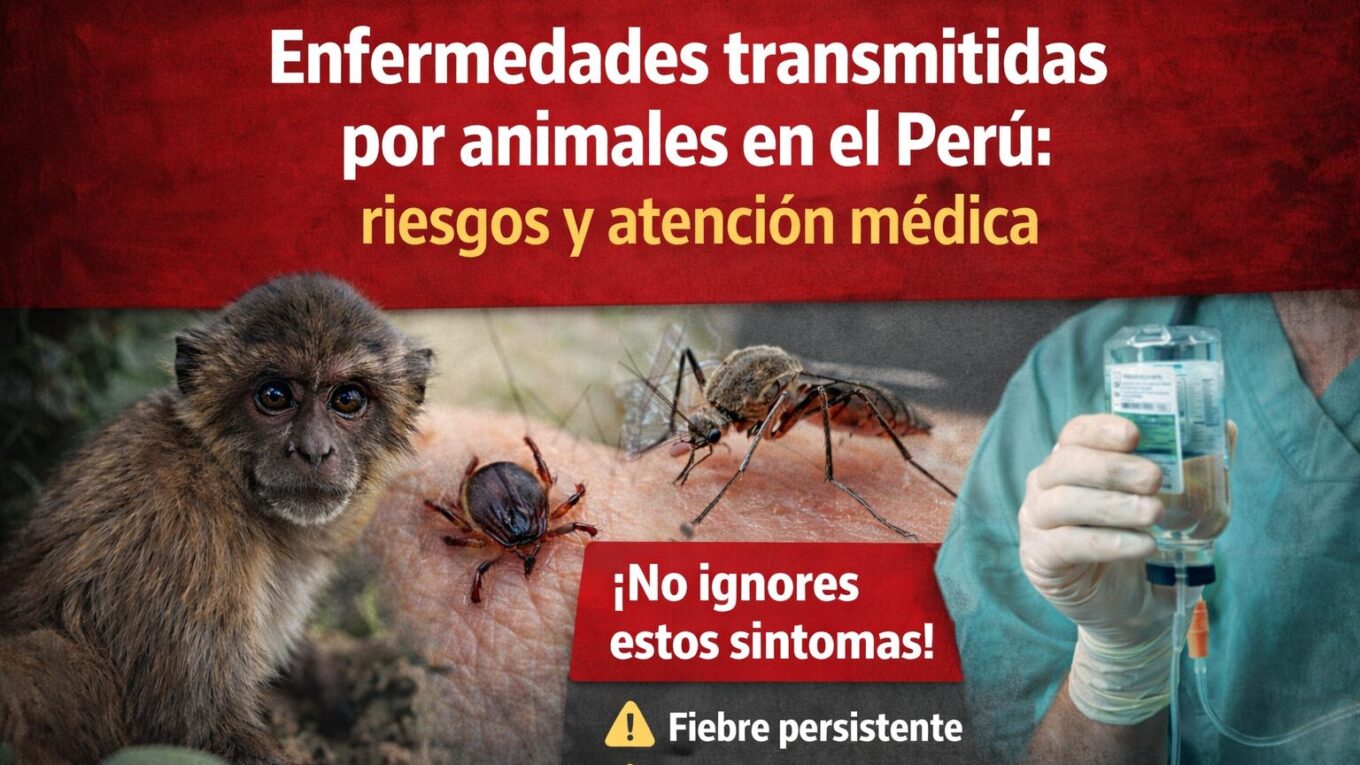 enfermedades transmitidas por animales en el Perú