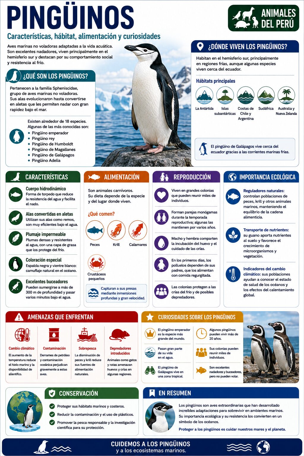 infografia del pinguino
